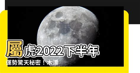 屬虎2022下半年運勢|【屬虎2022生肖運勢】犯太歲要沖喜，財運起伏大｜ 